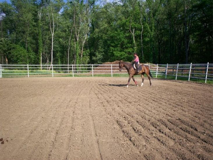 outdoor arena